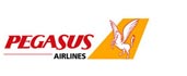 Pegasus